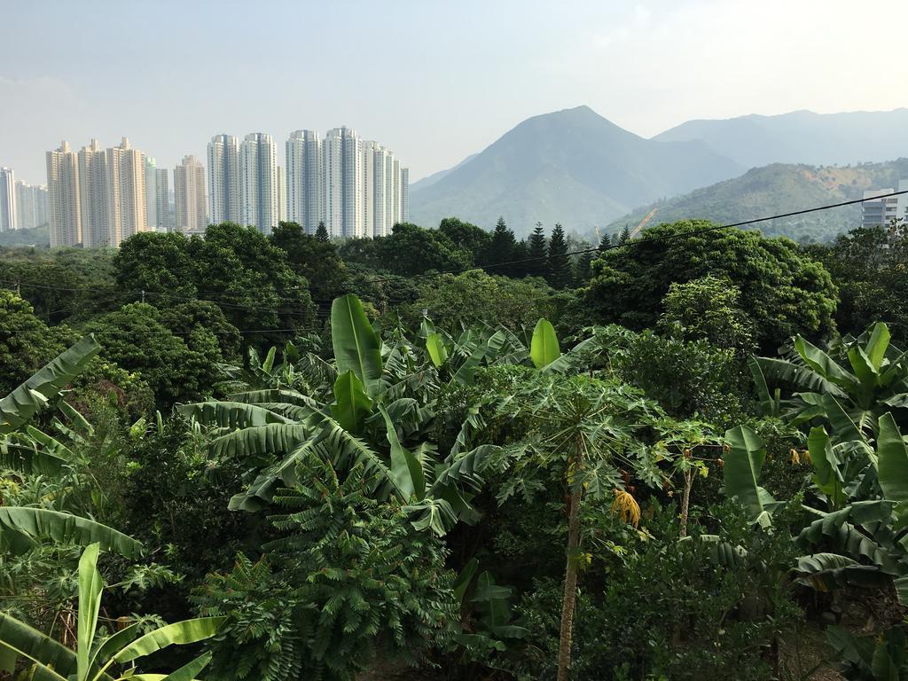 City Oasis Guesthouse Hong Kong Luaran gambar